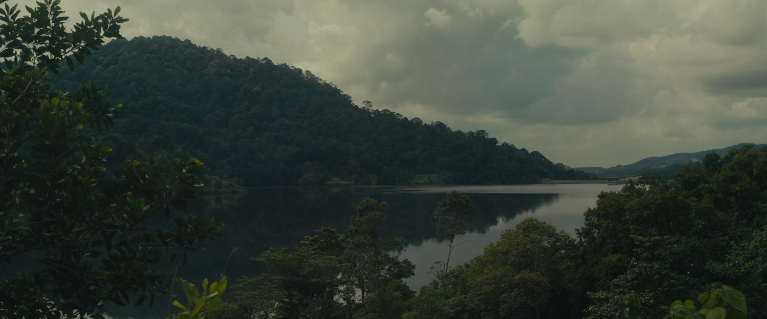 commercial video company kl